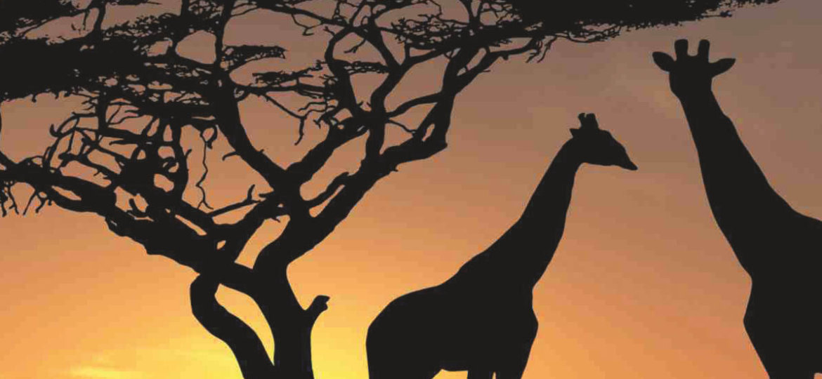 africa