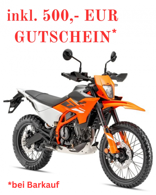 390 ENDURO R 2025